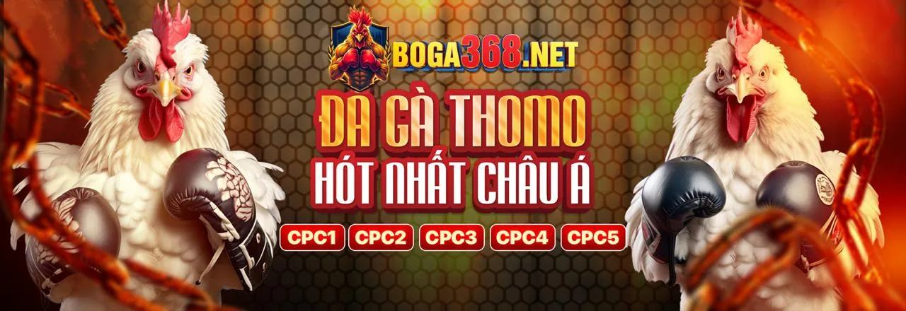 Đá Gà Trực Tuyến Kịch Tính tại Kubet